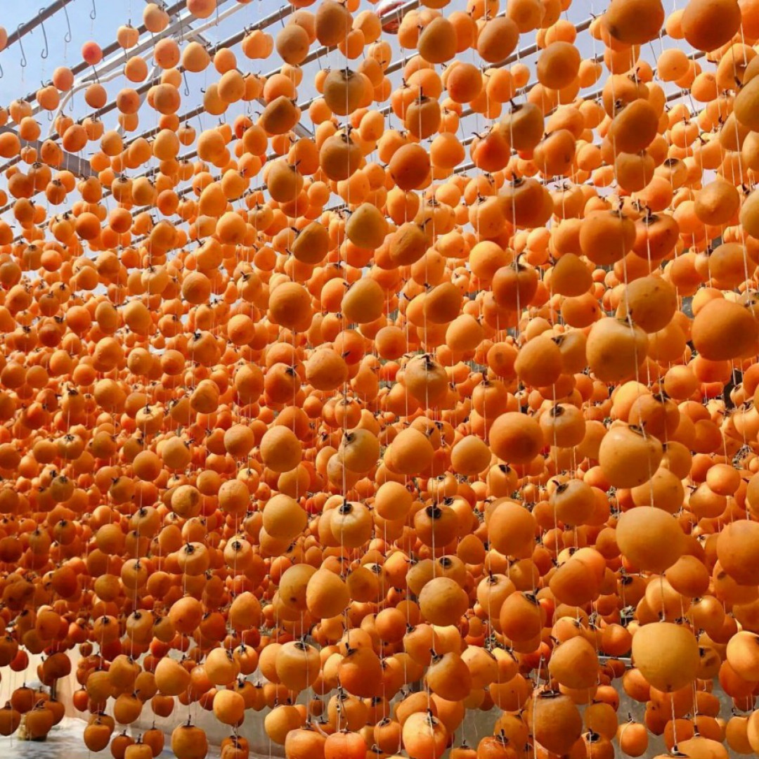 Hộp  500g Hồng Treo Sấy Gió Đà Lạt Loại Đặc Biệt